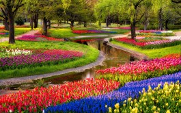 Colorful-garden-flowers-hd-wallpaper
